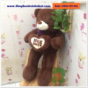 Gấu Bông Teddy Hàn Quốc - GAU61